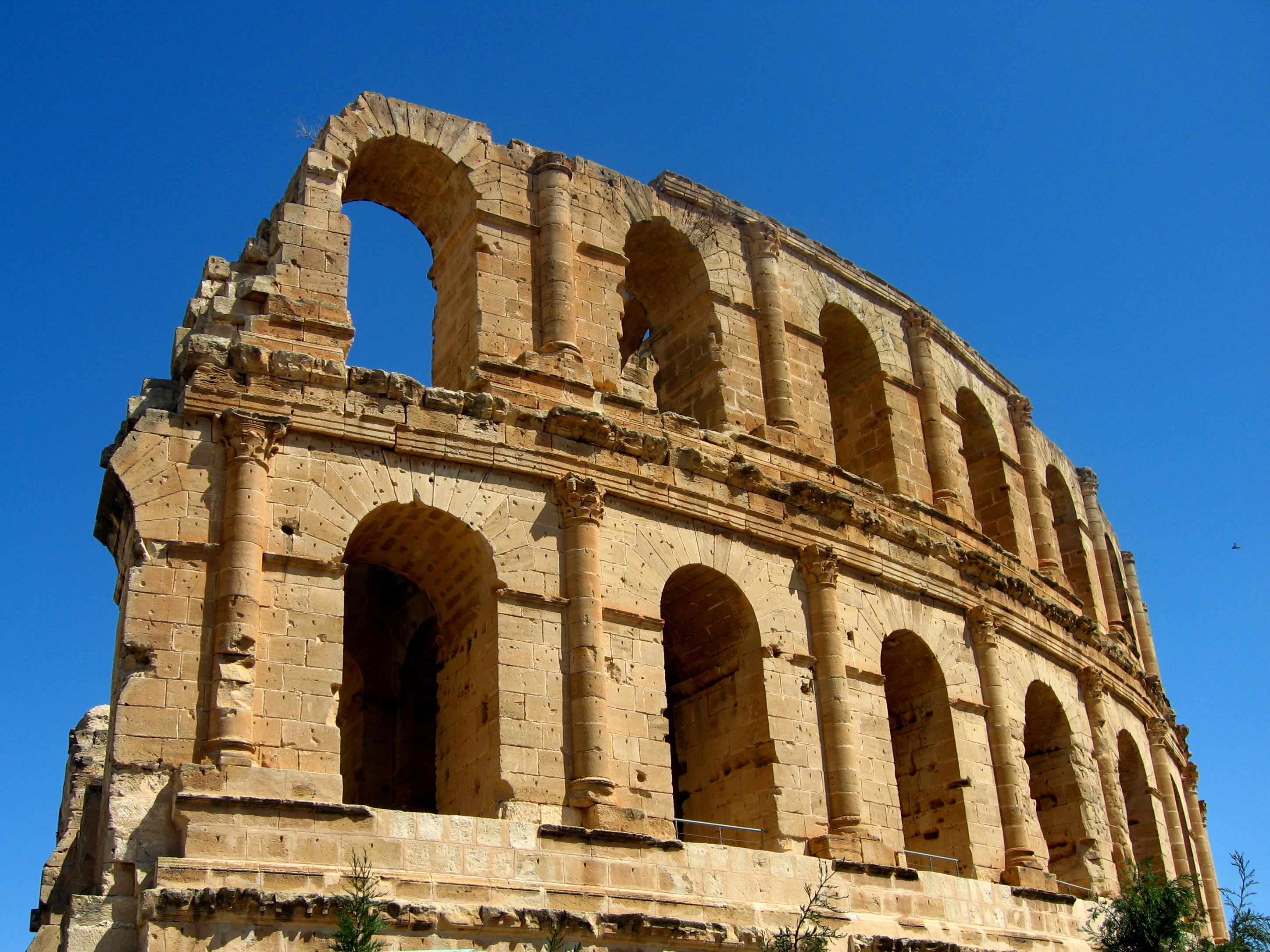 Tagami Canon IMG_3413