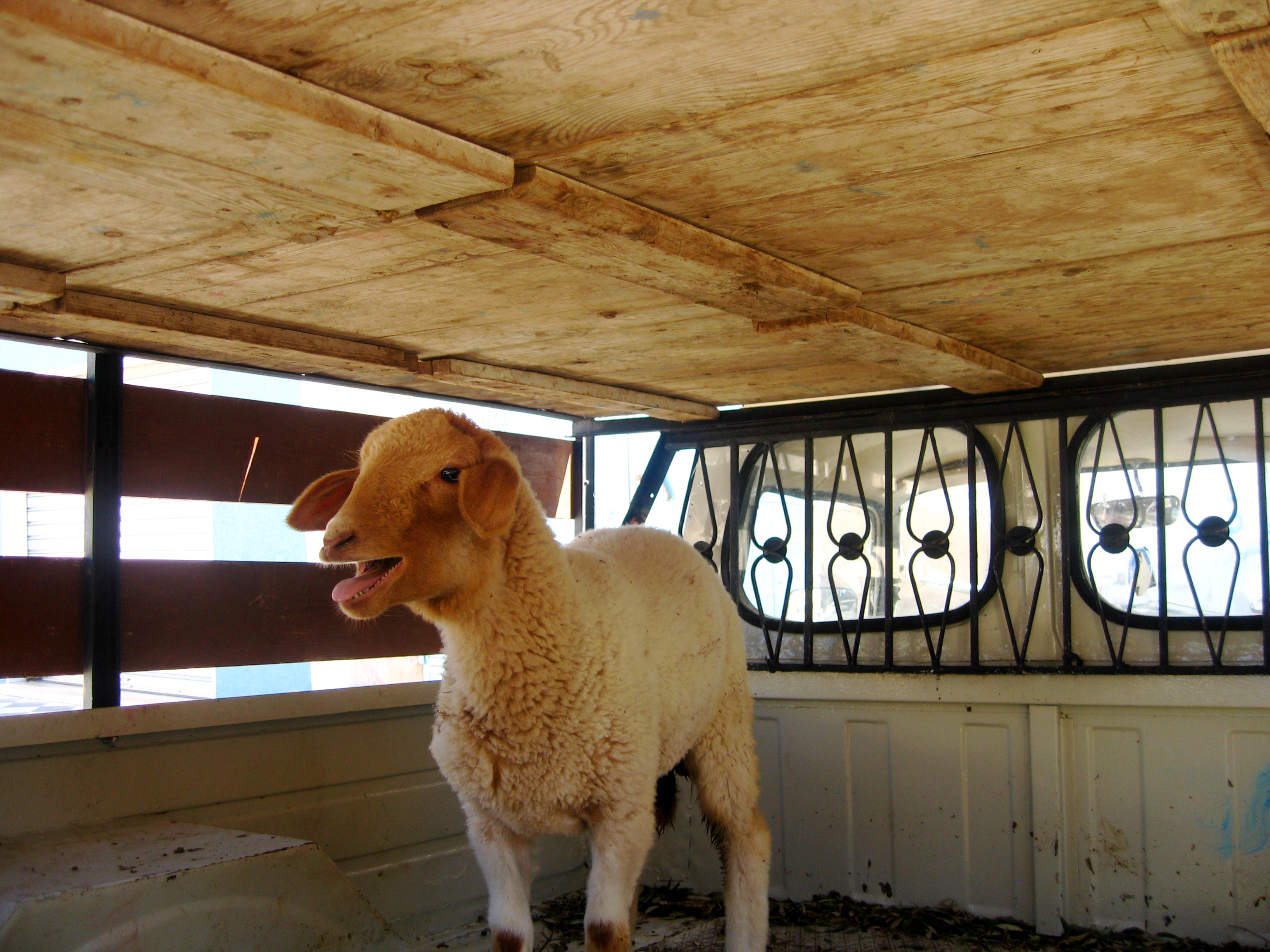 Tagami Canon IMG_3428